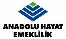 Anadolu Hayat Emeklilik'ten Emeklileri Sevindirecek Haber